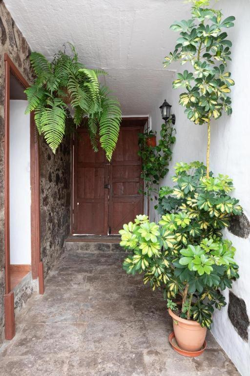 Casa Canaria Acero Garachico  Exteriör bild