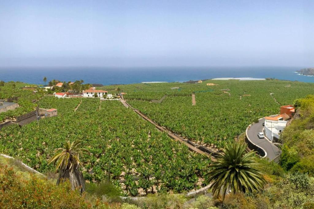 Casa Canaria Acero Garachico  Exteriör bild